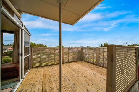 Photo of property in 49 Antonio Street, Stratford, 4332