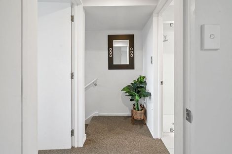 Photo of property in 146 Purchas Street, Edgeware, Christchurch, 8013