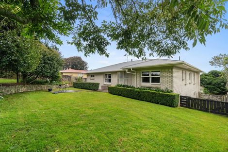 Photo of property in 800 Pakura Street, Te Awamutu, 3800