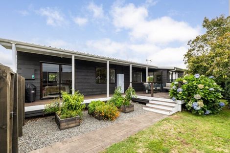 Photo of property in 12 Chestnut Court, Havelock North, 4130