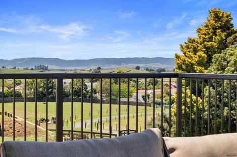 Photo of property in 21 Fairview Street, Tirau, 3410