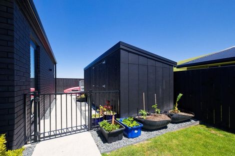 Photo of property in 69 Shearwater Drive, Kaikoura, 7300
