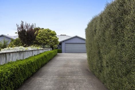 Photo of property in 160b Waihi Road, Judea, Tauranga, 3110
