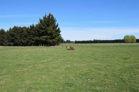 Photo of property in 46 Isaac Road, Eyrewell, Rangiora, 7476