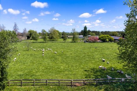 Photo of property in 542 Kaipaki Road, Ohaupo, 3881