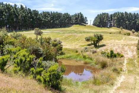 Photo of property in 3756 Western Lake Road, Ocean Beach, Featherston, 5773