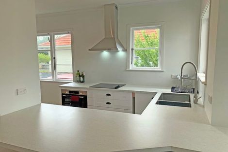 Photo of property in 17 Ihle Street, Terrace End, Palmerston North, 4410