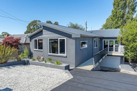 Photo of property in 155 Main Road, Fairfield, Dunedin, 9018