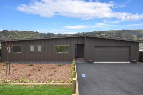 Photo of property in 9 Balfour Street, Mornington, Wellington, 6021