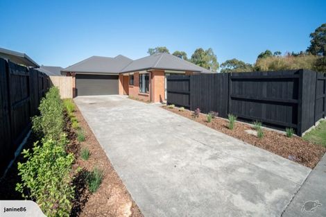 Photo of property in 137 Wyndham Street, Ashhurst, 4810