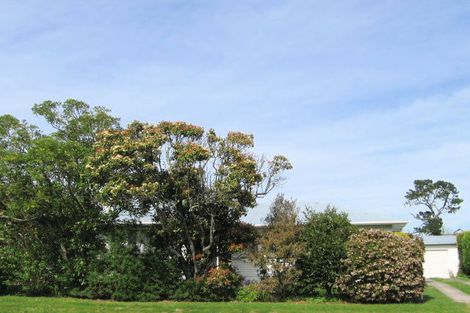 Photo of property in 11 Grundy Street, Mangapapa, Gisborne, 4010