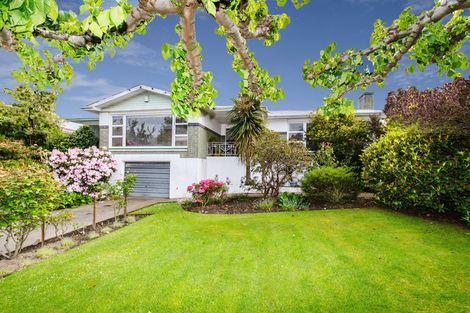 Photo of property in 6 Neill Street, Green Island, Dunedin, 9018