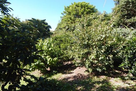 Photo of property in 36 Rarere Terrace, Kerikeri, 0230