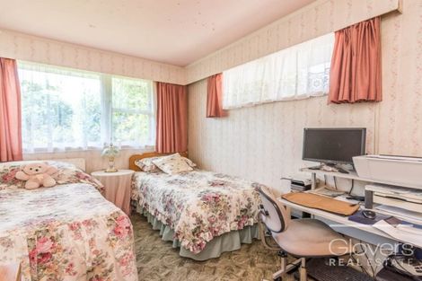 Photo of property in 114 Sturges Road, Henderson, Auckland, 0612