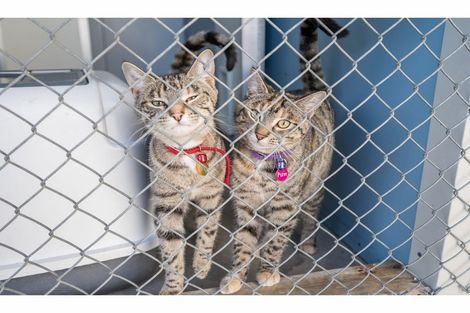 Photo of property in 138 White Road, Hope, Richmond, 7081