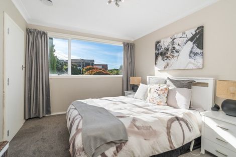 Photo of property in 36 Kilgour Street, Roslyn, Dunedin, 9010