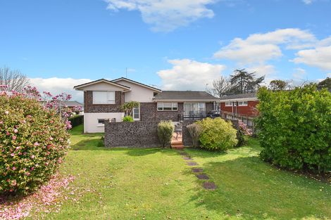Photo of property in 138 Elliot Street, Pahurehure, Papakura, 2113