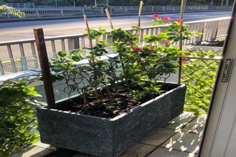 Photo of property in Montreaux, 164 The Terrace, Wellington Central, Wellington, 6011