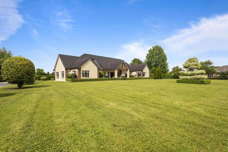 Photo of property in 36 Everad Avenue, Matamata, 3472