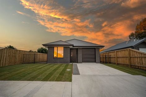 Photo of property in 53 Henshaw Street, Woodend, 7610