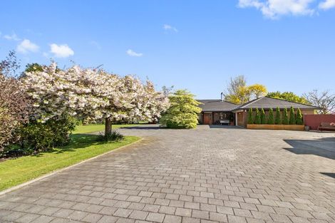 Photo of property in 10 Donald Street, Temuka, 7920