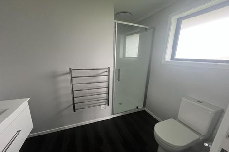 Photo of property in 68 Hinemoa Street, Levin, 5510