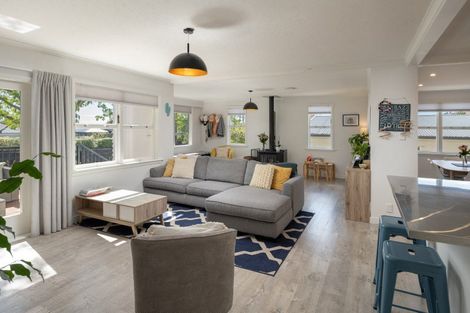 Photo of property in 213 Howick Road, Witherlea, Blenheim, 7201