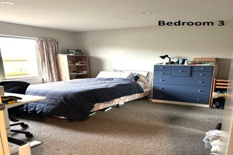 Photo of property in 31a Torrens Road, Hillmorton, Christchurch, 8024