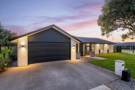 Photo of property in 238 Taylor Pass Road, Witherlea, Blenheim, 7201