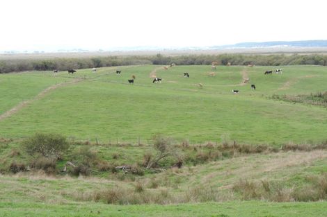 Photo of property in 669 Island Block Road, Island Block, Te Kauwhata, 3782