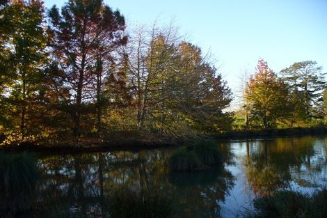 Photo of property in 431f Glenbrook Road, Kingseat, Pukekohe, 2679