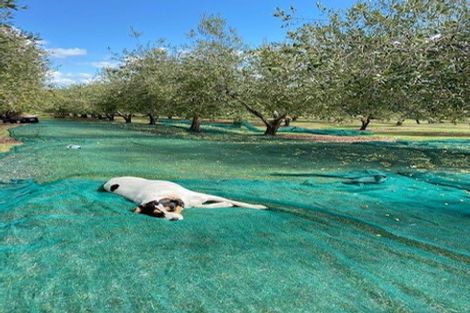 Photo of property in 478 Hihi Road, Hihi, Mangonui, 0494