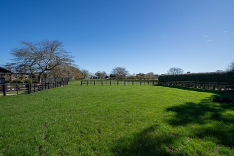 Photo of property in 43 Forrest Road, Cambridge, 3493
