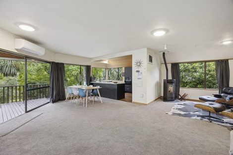Photo of property in 43 Pacific Street, Roslyn, Dunedin, 9010