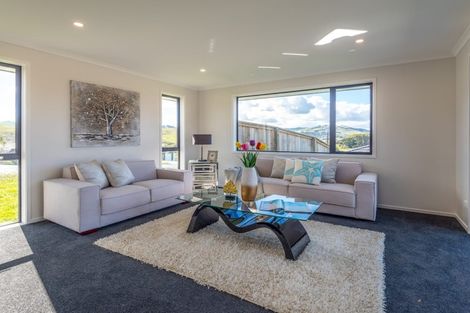 Photo of property in 101 Harriet Johnston Drive, Pokeno, 2402