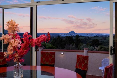 Photo of property in 393 Upper Ohauiti Road, Ohauiti, Tauranga, 3173