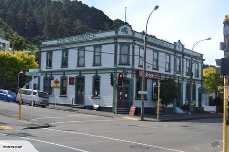 Photo of property in 230b Tinakori Road, Thorndon, Wellington, 6011