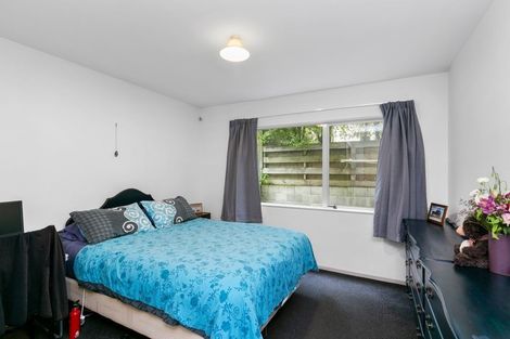 Photo of property in 9/33 Hiropi Street, Newtown, Wellington, 6021