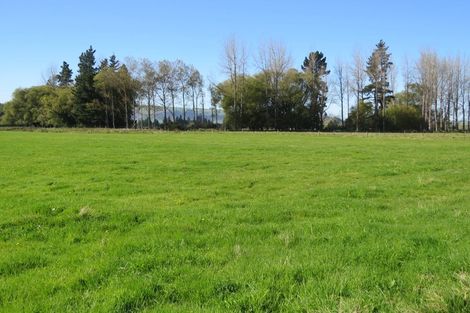 Photo of property in 141 Nixons Road, Fairlie, 7987