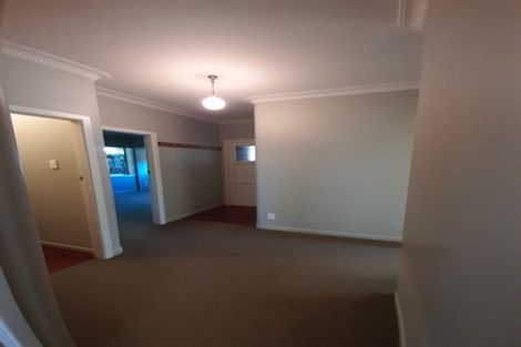 Photo of property in 195 Plummers Point Road, Whakamarama, Tauranga, 3172