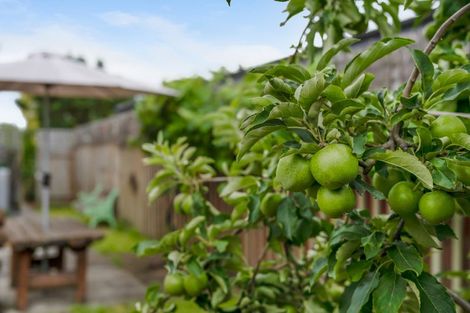 Photo of property in 97 Howick Road, Redwoodtown, Blenheim, 7201