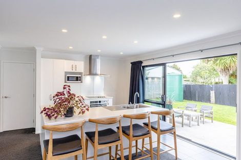 Photo of property in 24 Buckingham Place, Springvale, Whanganui, 4501