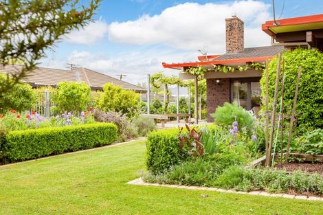 Photo of property in 6a Vosper Street, Matamata, 3400