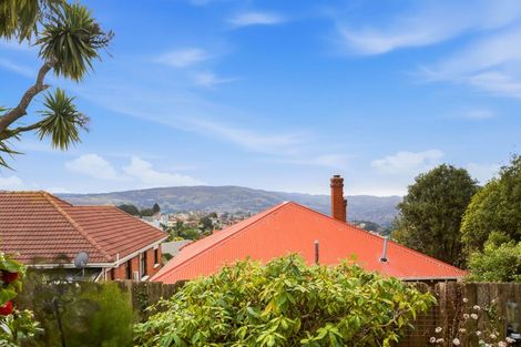 Photo of property in 23b Sheen Street, Roslyn, Dunedin, 9010
