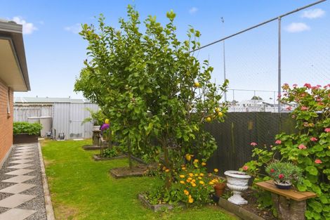 Photo of property in 63 Weraroa Road, Levin, 5510