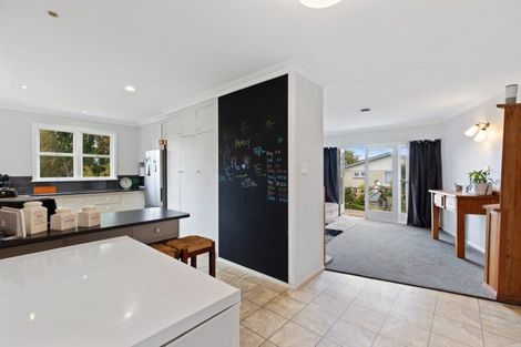 Photo of property in 23 Paine Street, Judea, Tauranga, 3110