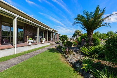 Photo of property in 34 West Street, Morrinsville, 3372