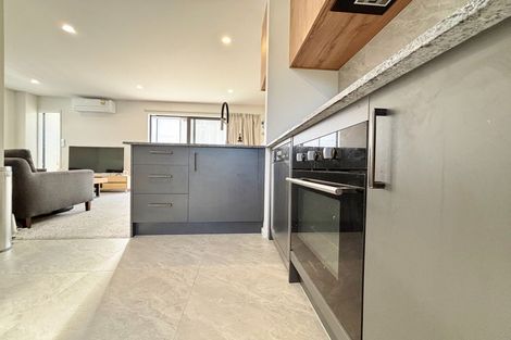 Photo of property in 10b Chatham Street, Addington, Christchurch, 8024