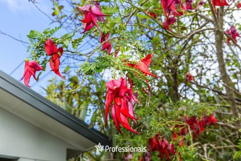 Photo of property in 14 Prouse Grove, Silverstream, Upper Hutt, 5019