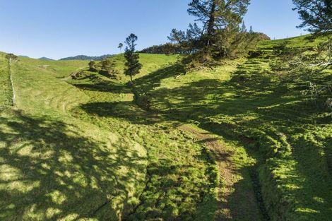 Photo of property in 309c Wentworth Valley Road, Whangamata, 3691